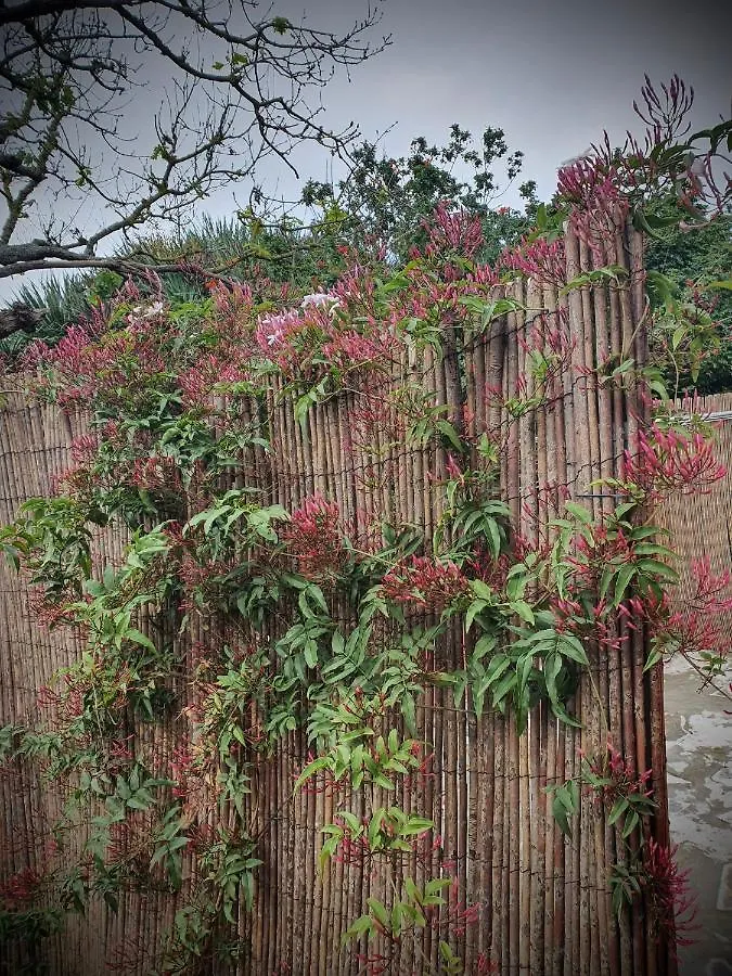 Casa el Porte Tegueste 0*,